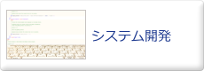 システム開発